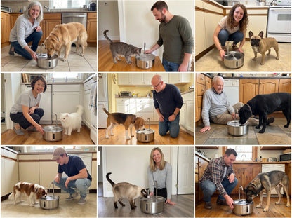 Steelbrook Pet Water Fountain